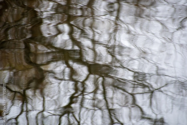 Obraz tree reflection in water