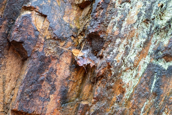 Obraz Rock formation texture