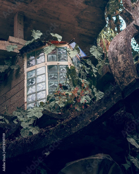 Fototapeta view from the window