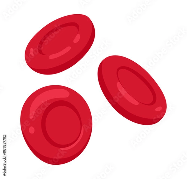 Fototapeta Vector set of red blood cells or erythrocytes	