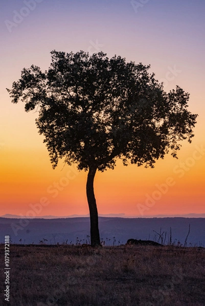 Fototapeta a new day is born