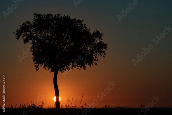 Fototapeta a new day is born