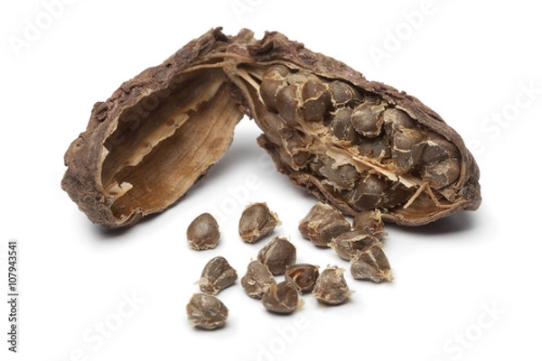 Obraz  Black cardamom fruit and seeds