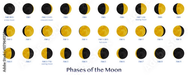 Obraz 月の満ち欠け　背景無し