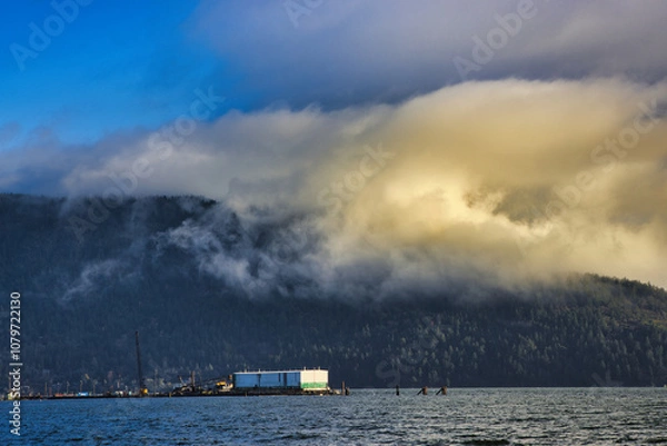 Fototapeta Fog hangs over sailboats and floating houses anchored in Cowichan Bay, off Vancouver Island; Duncan, British Columbia, Canada