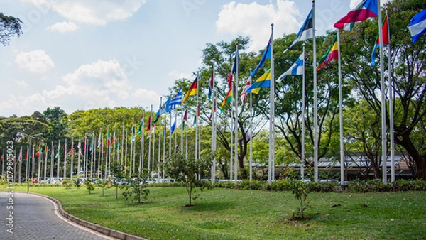 Obraz United Nation Flags