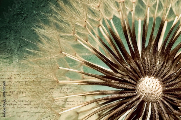 Obraz Closer Than Before