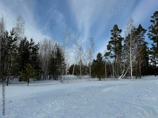 Obraz 눈속의나무