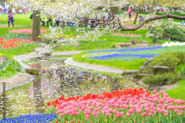 Obraz 国営昭和記念公園