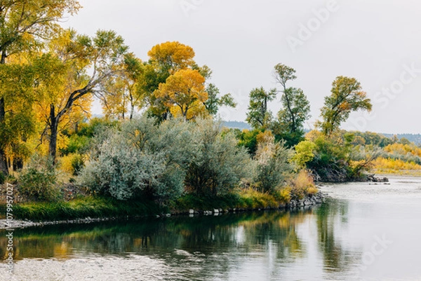 Obraz Yellowstone River Scene With Beautiful Fall Foliage