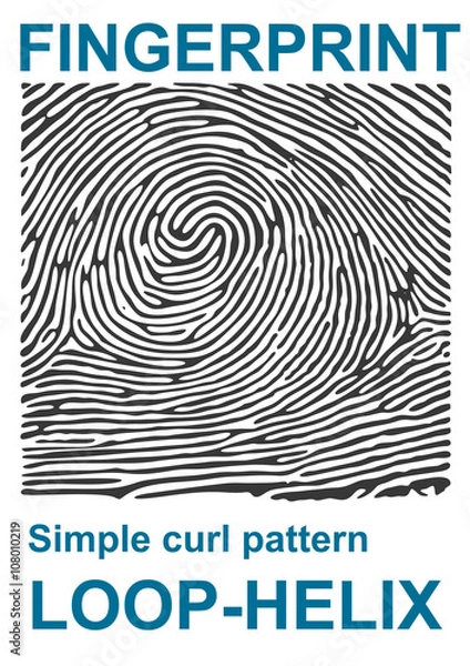 Fototapeta Black fingerprint shape secure. identification ID finger. Vector illustration