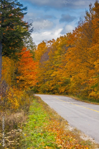 Fototapeta the view down a scenic country roadway in autumn landscape