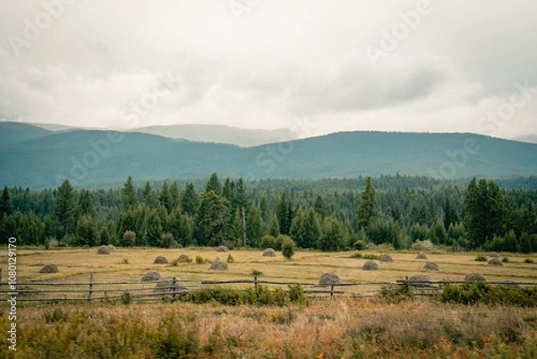 Obraz Mountain panorama of beautiful valley in Altai mountains. Altai Mountain range, North Altai, Gorny Altai republic, Russia.
