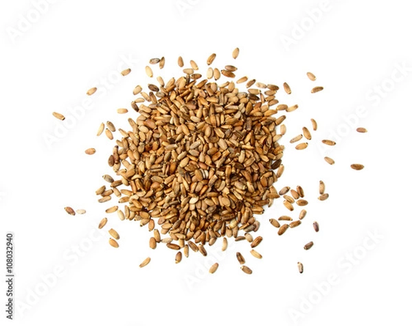 Obraz Silybum marianum.