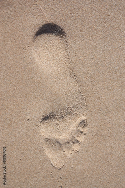 Fototapeta Pie en la arena