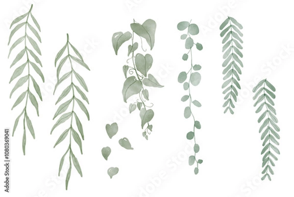 Obraz Set of Watercolor Hanging Plants Background. Set collection of green tropical creeper leaves hanging vine ivy houseplant bush hand drawn watercolor design resources elements
