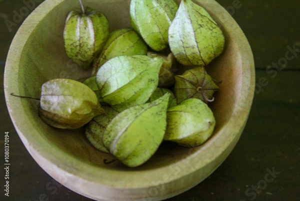 Fototapeta ciplukan or Physalis angulata is a wild plant, its fruit is like a small bell, the fruit is wrapped in a thin layer resembling paper