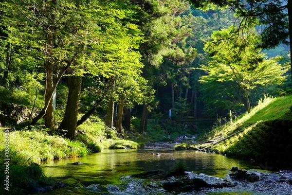Obraz 八百津町　清流が流れる五宝滝公園