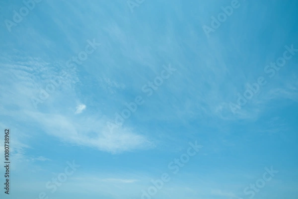 Fototapeta 青空に筋雲