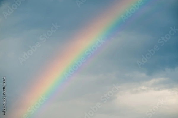 Fototapeta 空にかかる虹