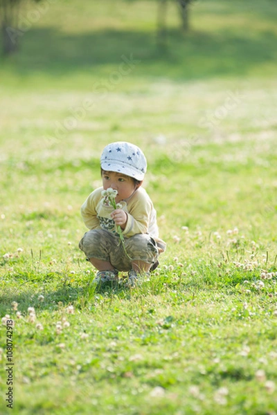 Fototapeta シロツメクサの匂いを嗅ぐ男児