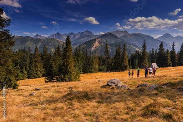 Fototapeta Rusinowa Polana in Tatra mountains