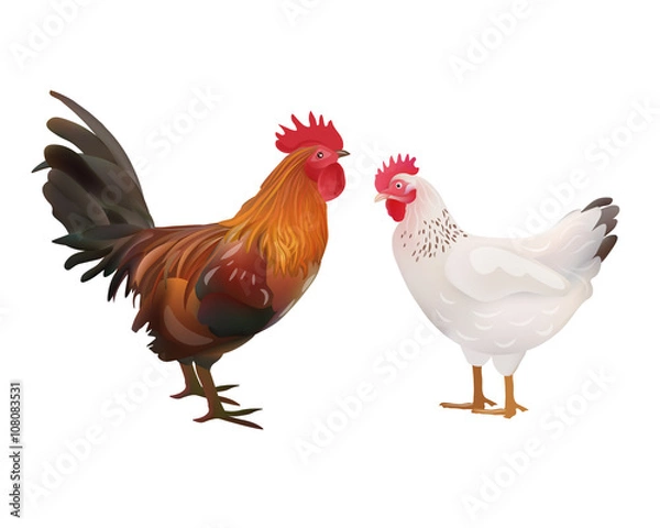 Obraz Realistic Rooster and Hen Picture. Vector Illustration or Icon