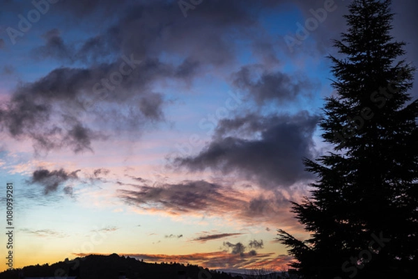Obraz Beautiful sunrise with colorful sky with clouds and pine tree on the side