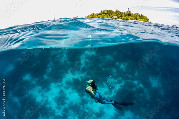 Obraz Free Diver Whale Shark with camera