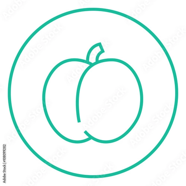 Obraz Plum with leaf line icon.