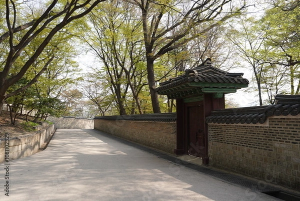 Obraz Empty Pathway Entrance