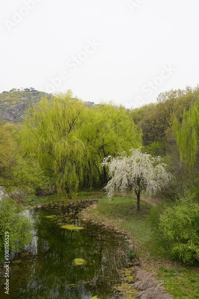 Obraz River in the Park