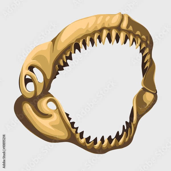 Fototapeta Fossil toothy open jaw of shark, vector image
