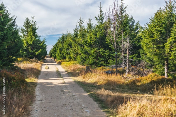 Fototapeta Karkonosze Mountains, Western Sudetes, gravel path on the hiking trail leading to the top of Smrk Mountain. Mountain landscape on a sunny day.