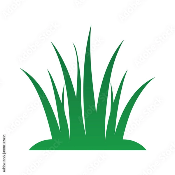 Fototapeta green grass on a withe background 