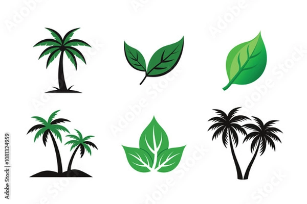 Obraz beautiful realistic leaf and palm tree vector bundle