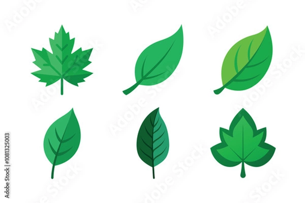 Obraz leaves isolated on white