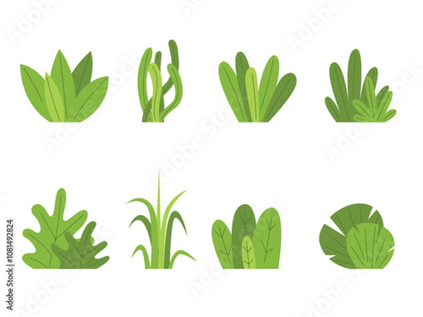 Fototapeta Set of shrub bush shrubbery, garden plant element
