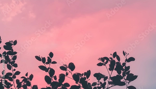 Fototapeta Pink background with a tree branch
