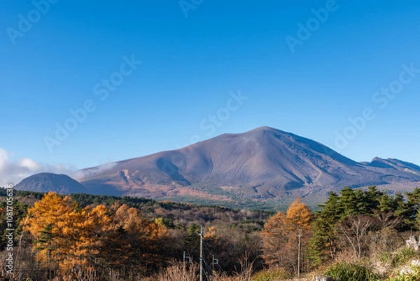Fototapeta 浅間牧場から見た朝の浅間山