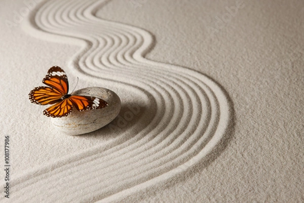 Obraz Motyl Zen