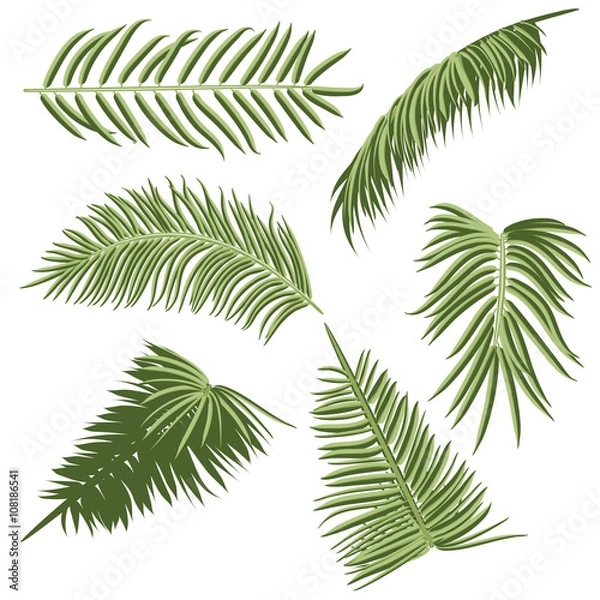 Obraz Green Palm Leaves