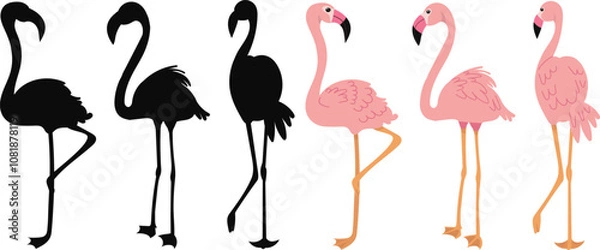 Obraz flamingo on white background silhouette, vector