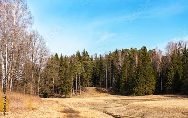 Fototapeta Spring landscape in the Pavlovsk