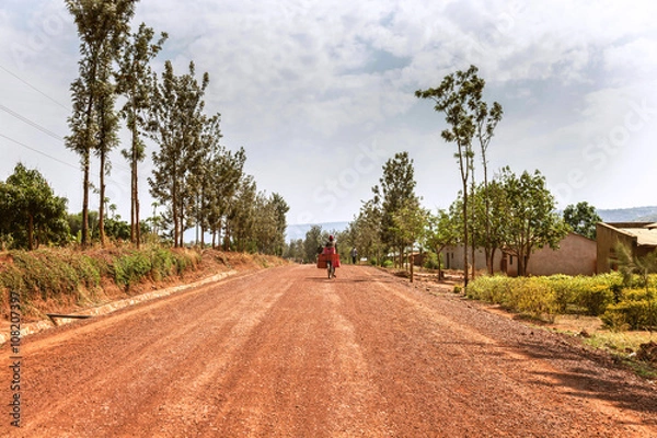 Fototapeta Kızıl Afrika toprağında bisiklet süren adam. Ağaç yolun ortasında ve uzaklaşmaya başlıyor. Ağaçlı yol perspektif oluşturuyor. 
