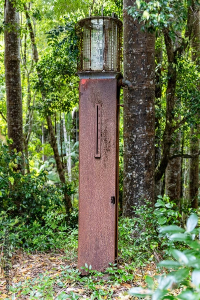 Fototapeta Rusted bowser in K'gari Fraser Island forest, historical wreckage remnants of timber industry, overgrown by rainforest