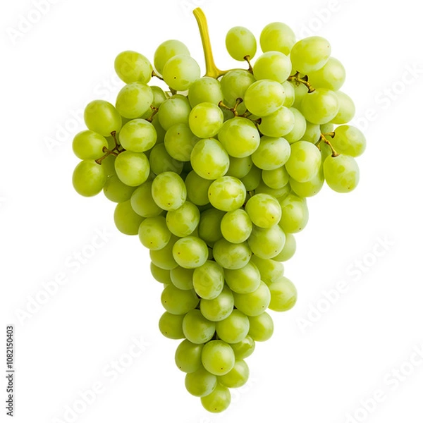 Fototapeta A cluster of fresh green grapes dangles, showcasing round, juicy fruits glistening in the light