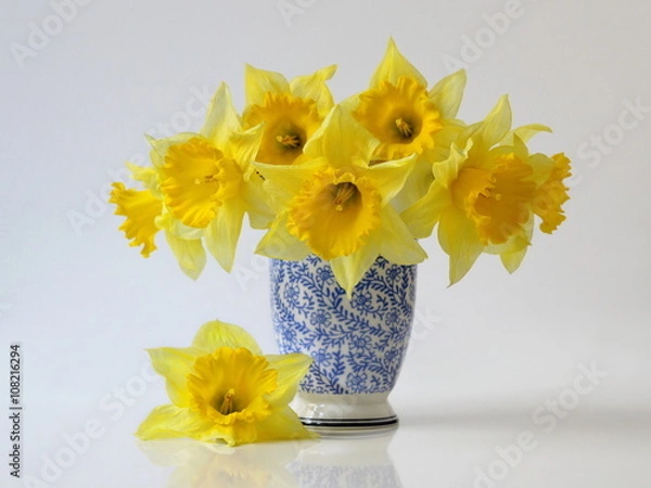 Fototapeta Bouquet of spring daffodils flowers in a blue vase. Bouquet of yellow narcissus flowers in a blue vase. Floral home still life.