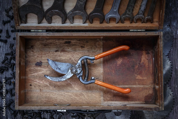 Obraz Pruning shears in wooden box