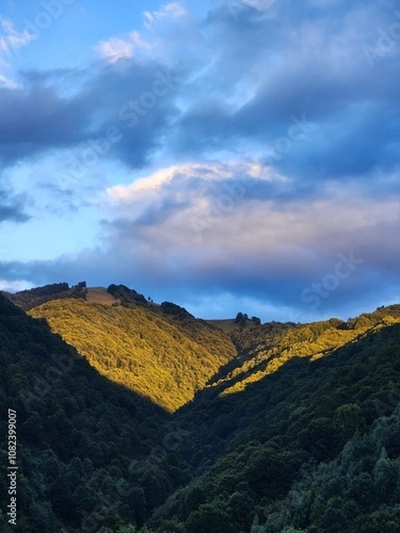Obraz Carpathian Mountains
